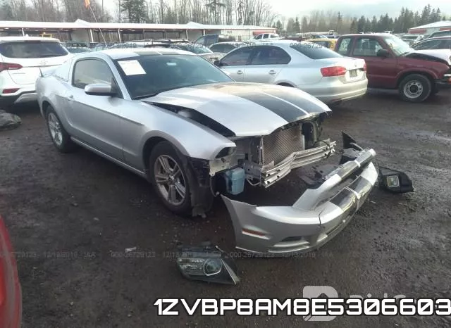 1ZVBP8AM8E5306603
