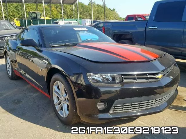 2G1FA1E30E9218123