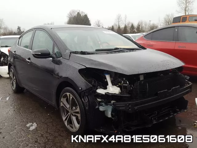 KNAFX4A81E5061608