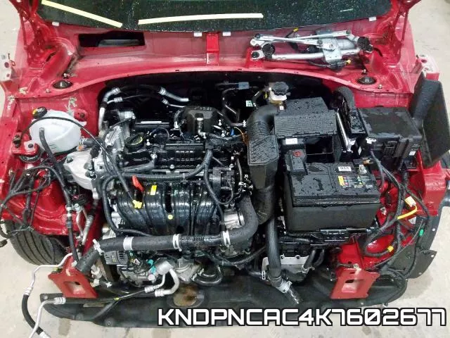 KNDPNCAC4K7602677_7.webp