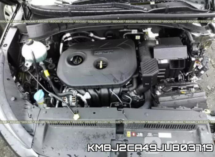 KM8J2CA49JU803719_10.webp