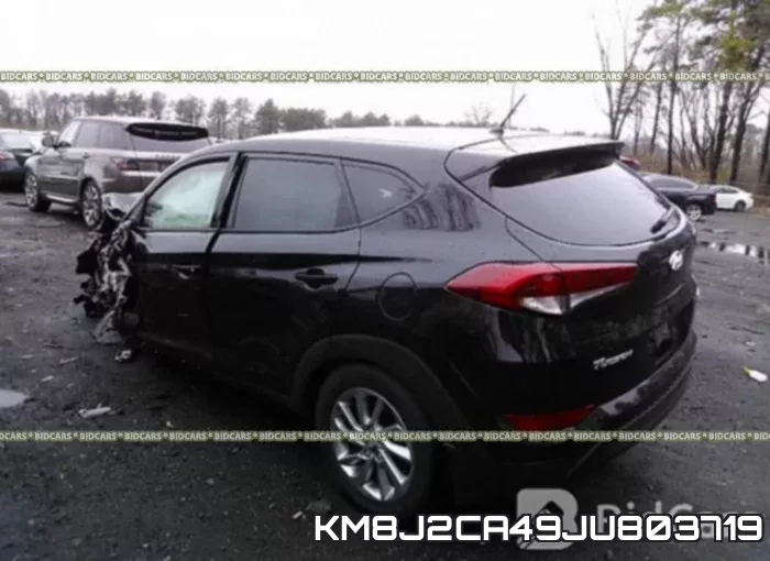 KM8J2CA49JU803719