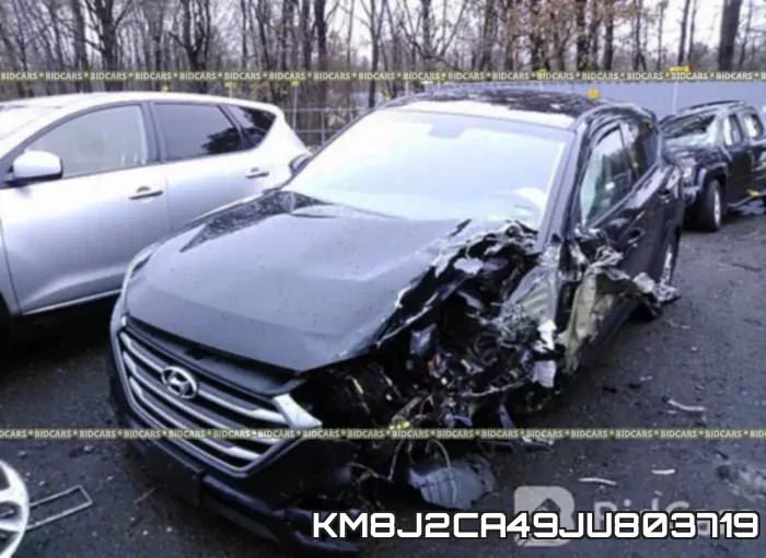 KM8J2CA49JU803719_6.webp