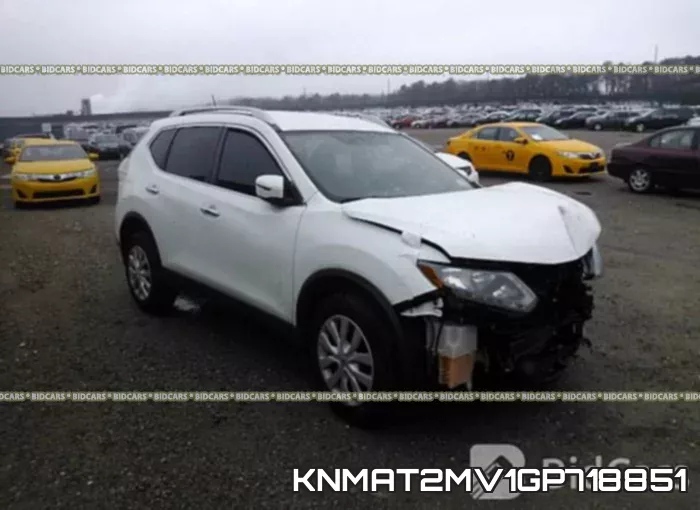 KNMAT2MV1GP718851