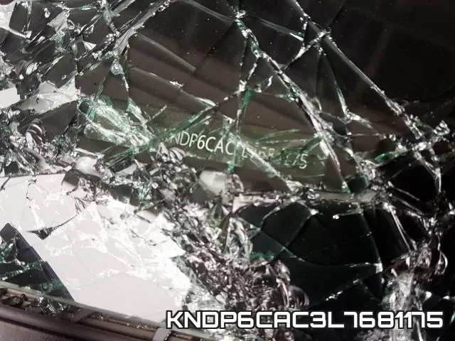 KNDP6CAC3L7681175_9.webp