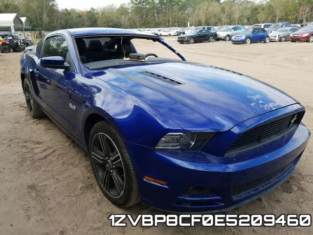 1ZVBP8CF0E5209460