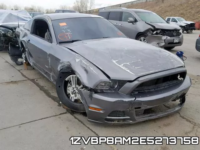 1ZVBP8AM2E5273758