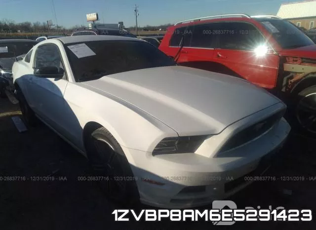 1ZVBP8AM6E5291423