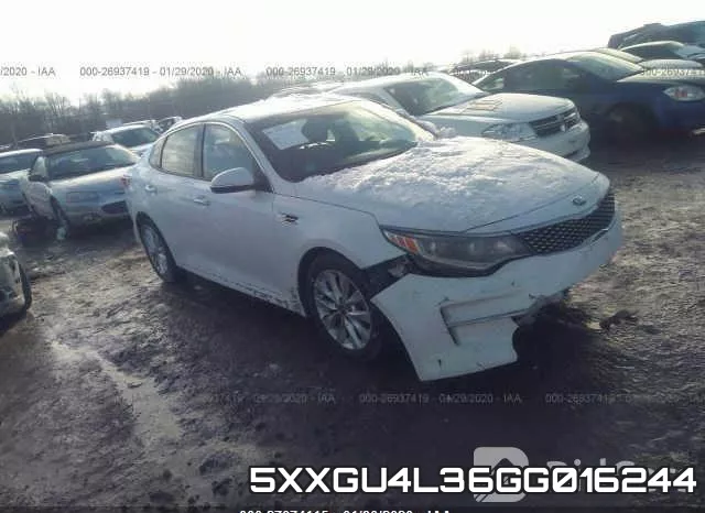 5XXGU4L36GG016244