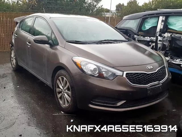 KNAFX4A65E5163914