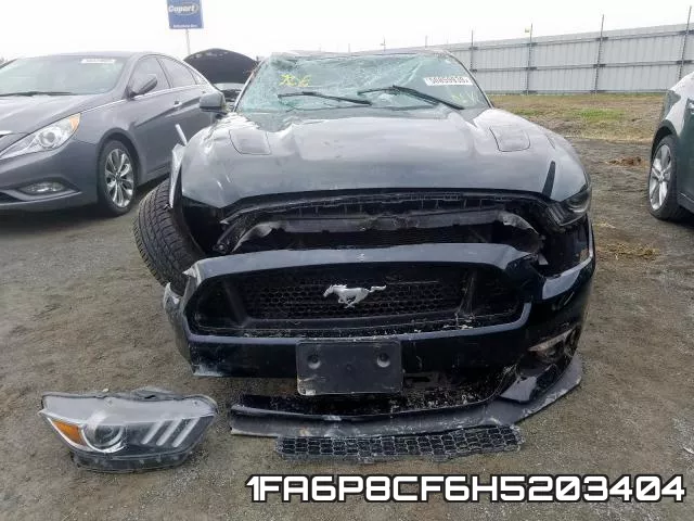 1FA6P8CF6H5203404_9.webp