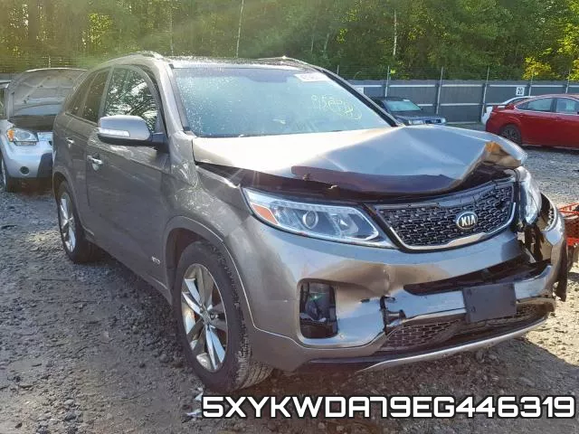 5XYKWDA79EG446319