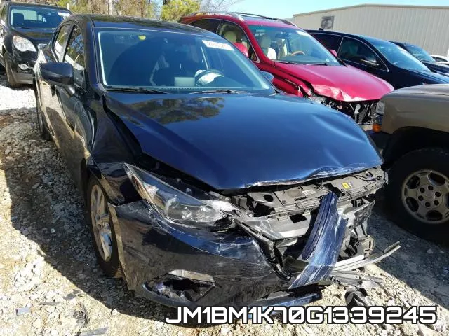 JM1BM1K70G1339245