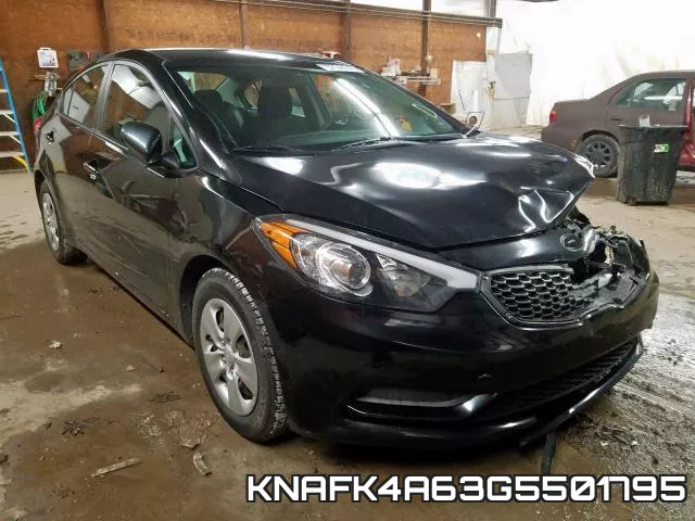 KNAFK4A63G5501795