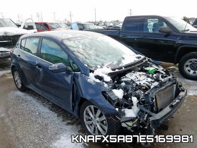 KNAFX5A87E5169981