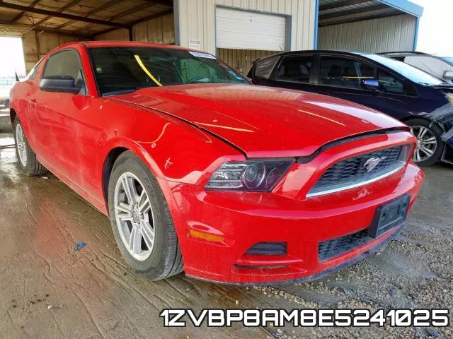 1ZVBP8AM8E5241025