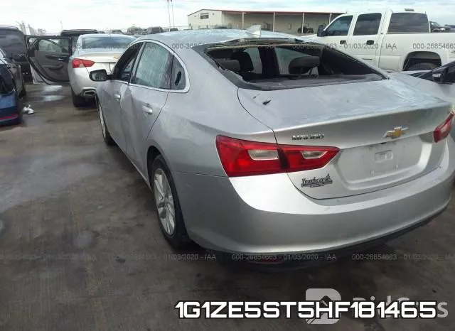 1G1ZE5ST5HF181465_6.webp