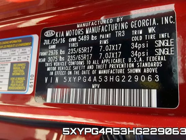 5XYPG4A53HG229063_10.webp