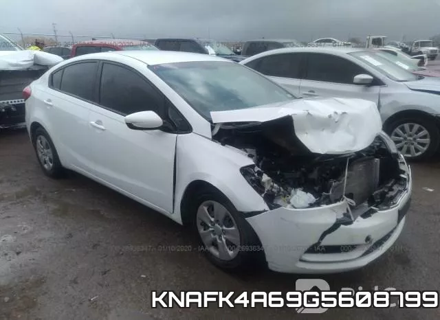 KNAFK4A69G5608799