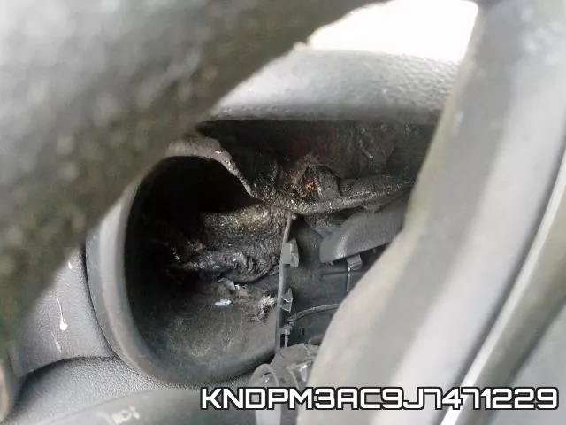 KNDPM3AC9J7471229_8.webp
