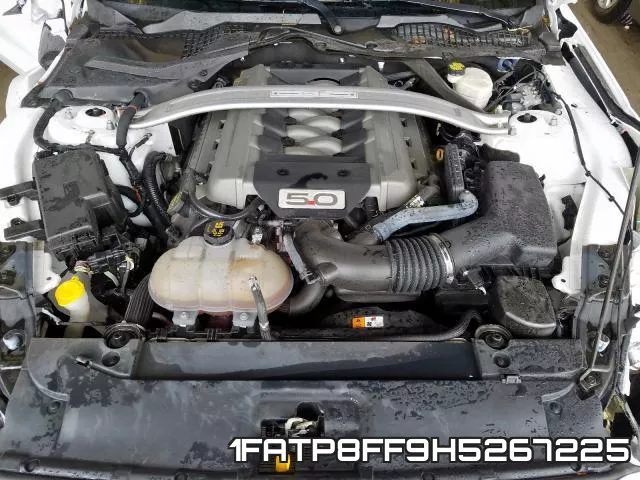 1FATP8FF9H5267225_7.webp