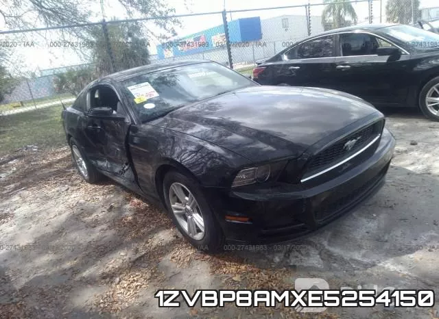 1ZVBP8AMXE5254150