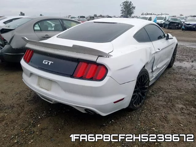 1FA6P8CF2H5239672_4.webp