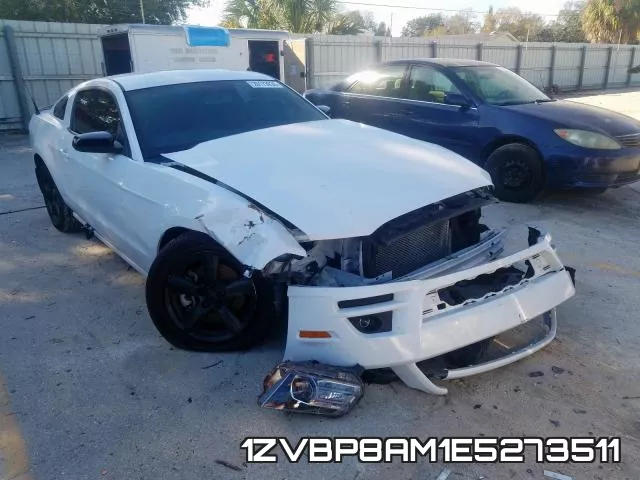 1ZVBP8AM1E5273511