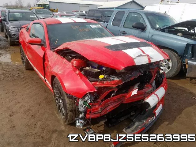 1ZVBP8JZ5E5263995