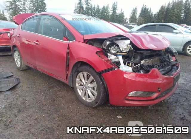 KNAFX4A80E5081509