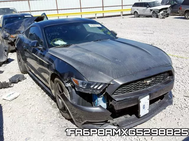 1FA6P8AMXG5298825