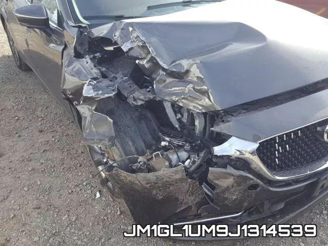 JM1GL1UM9J1314539_9.webp