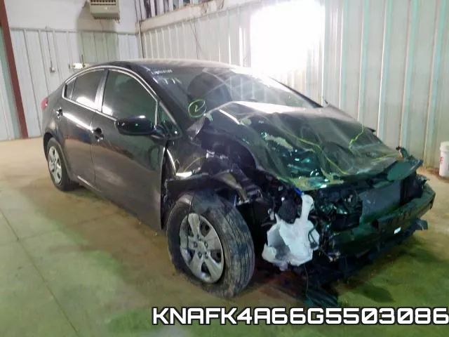 KNAFK4A66G5503086
