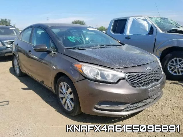 KNAFX4A61E5096891