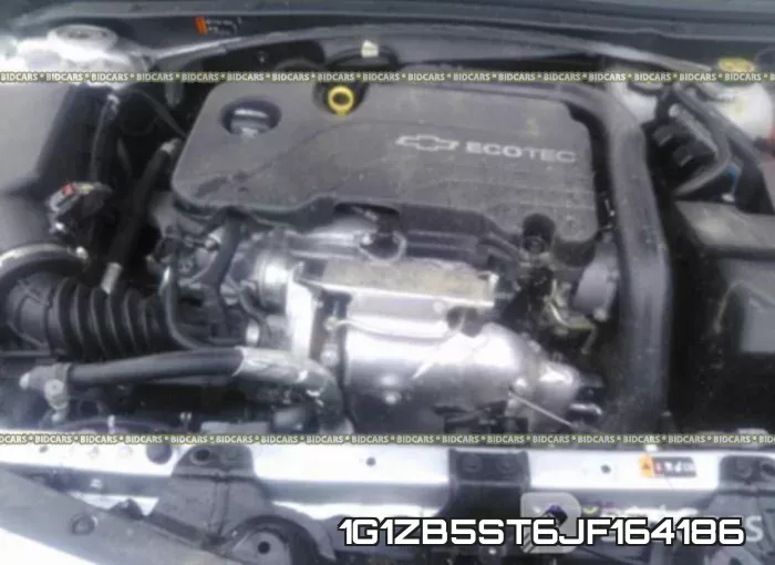 1G1ZB5ST6JF164186_10.webp