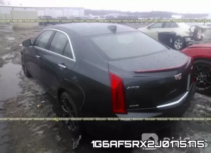 1G6AF5RX2J0175175_3.webp