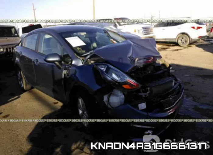 KNADN4A31G6661317