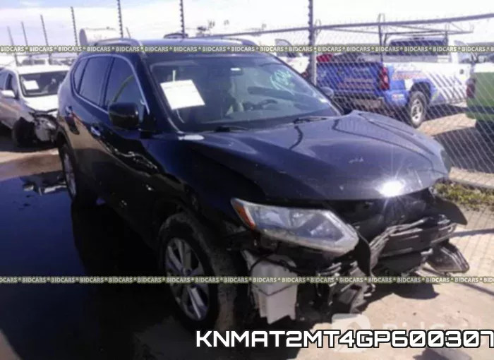 KNMAT2MT4GP600307