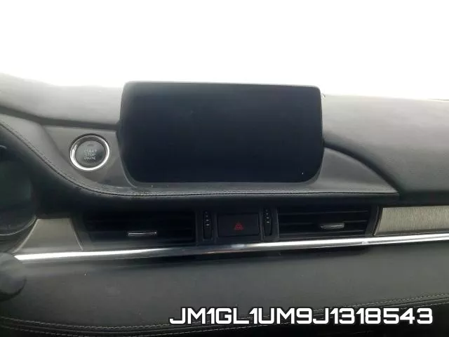 JM1GL1UM9J1318543_9.webp