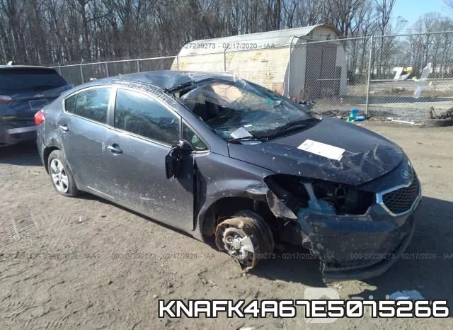 KNAFK4A67E5075266