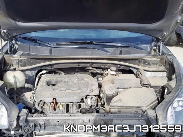 KNDPM3AC3J7312559