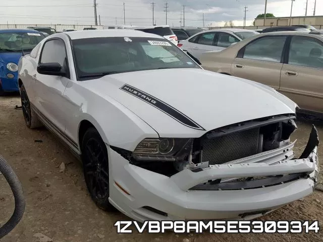 1ZVBP8AM5E5309314