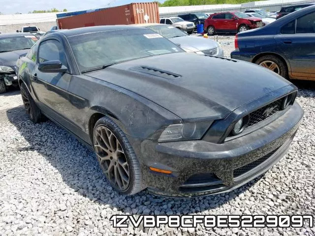 1ZVBP8CF8E5229097