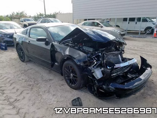 1ZVBP8AM5E5286987