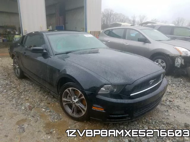 1ZVBP8AMXE5276603