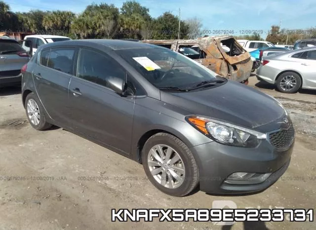 KNAFX5A89E5233731
