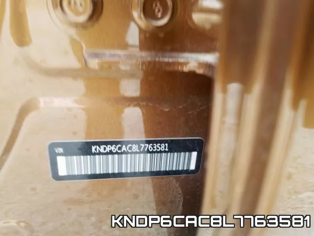 KNDP6CAC8L7763581_10.webp