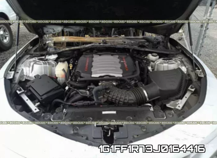 1G1FF1R73J0164416_10.webp