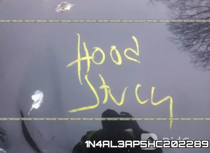 1N4AL3AP5HC202289_10.webp
