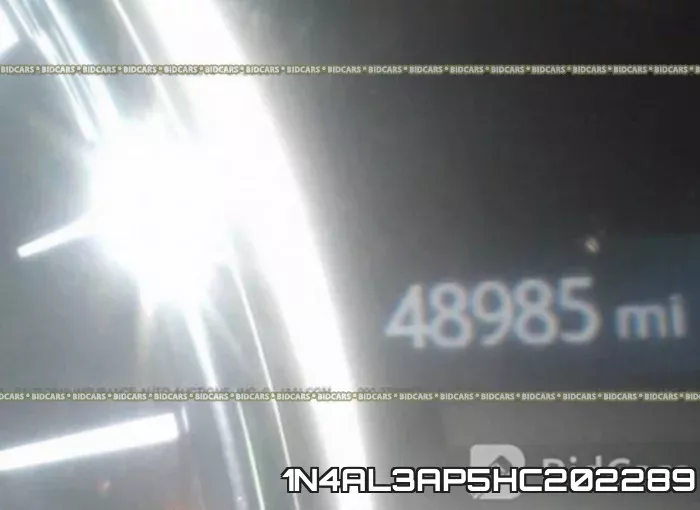1N4AL3AP5HC202289_7.webp